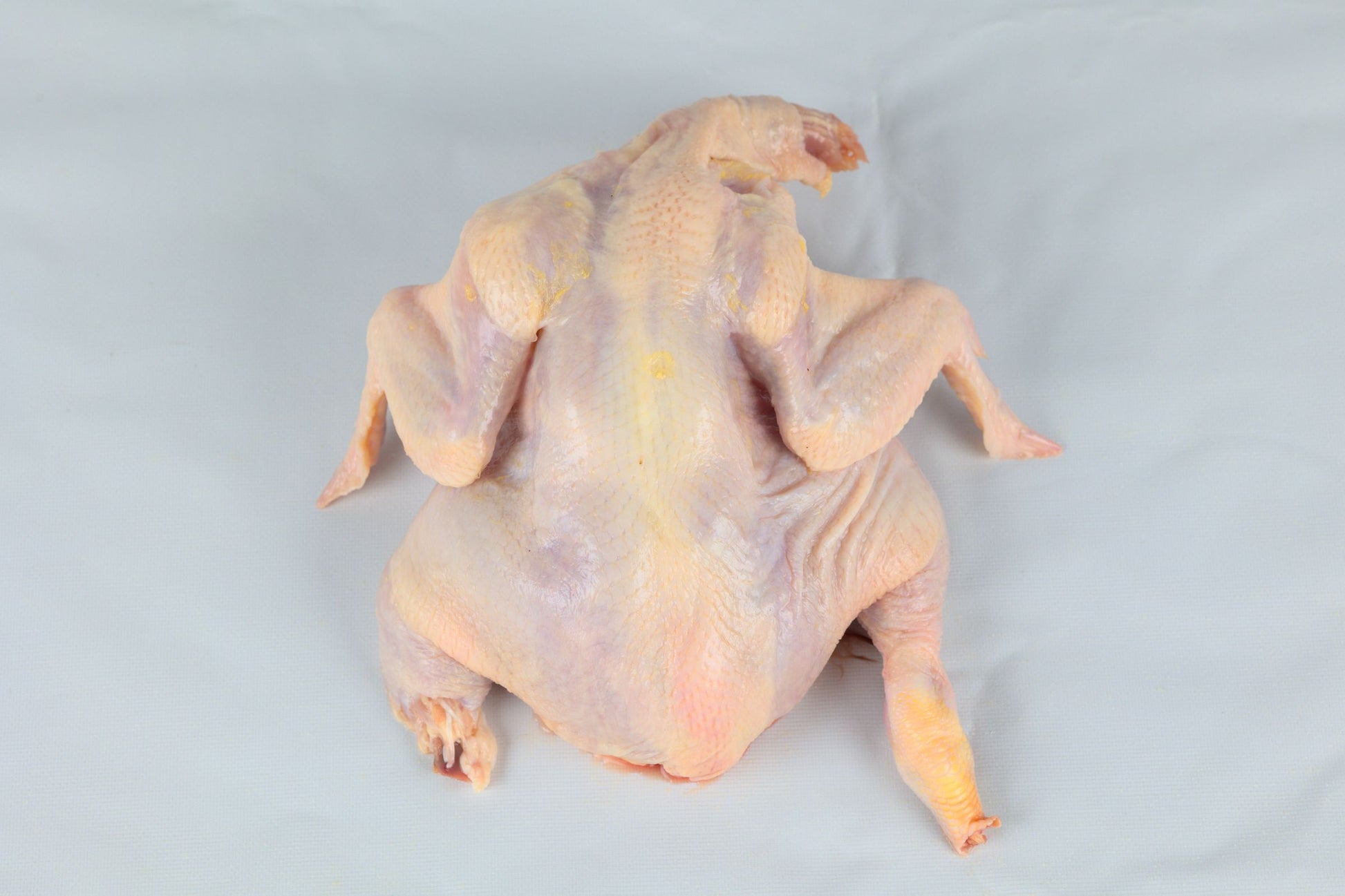 Whole Spatchcock