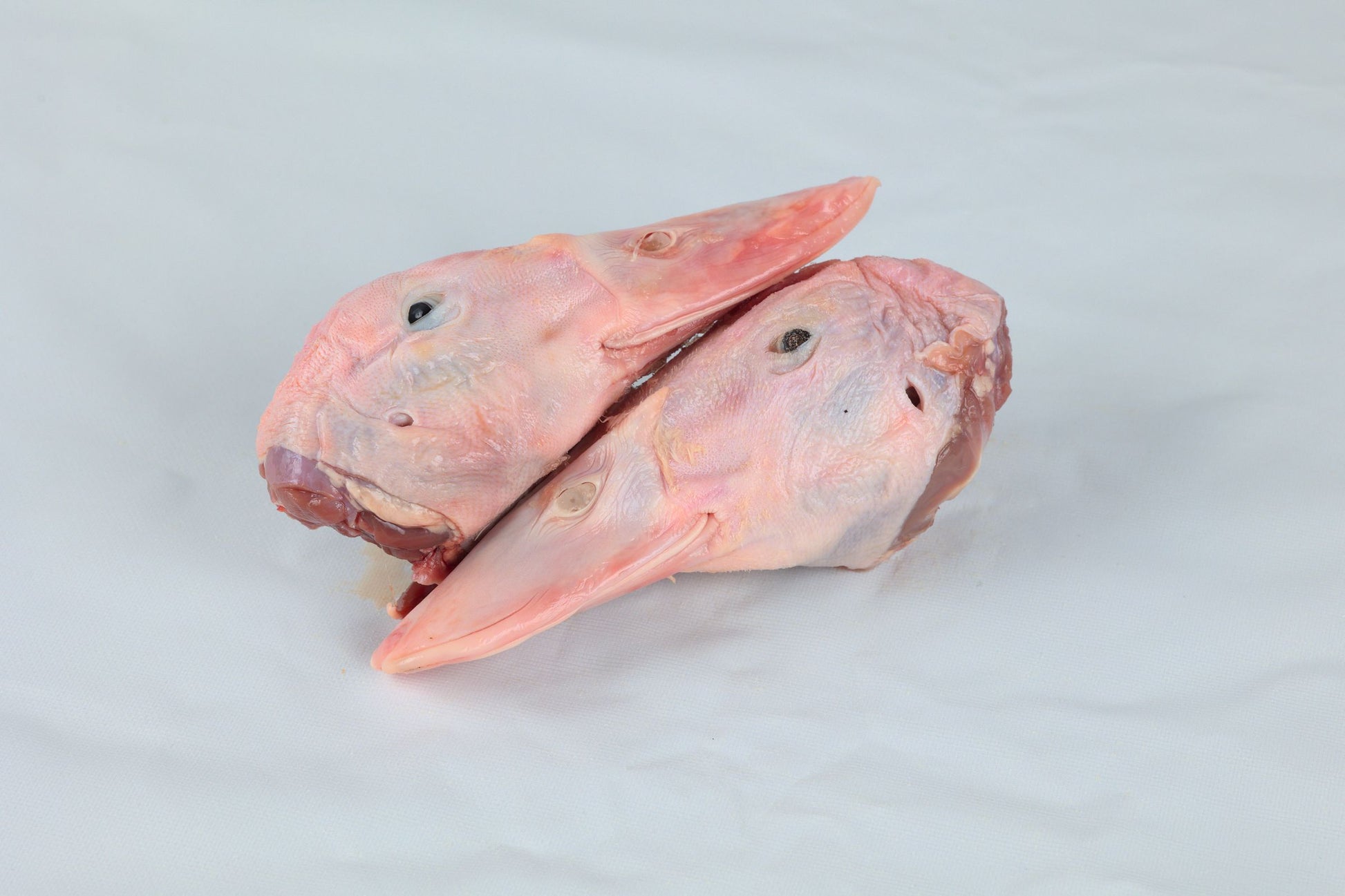 Duck Heads