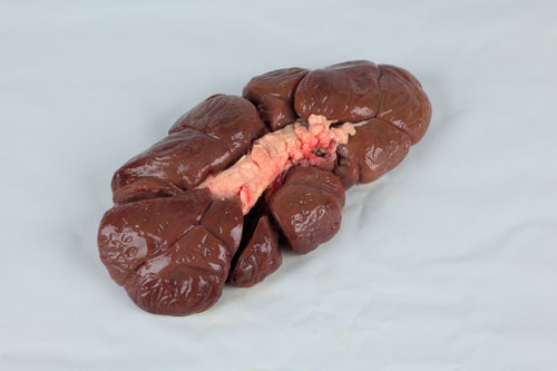 Beef Kidney