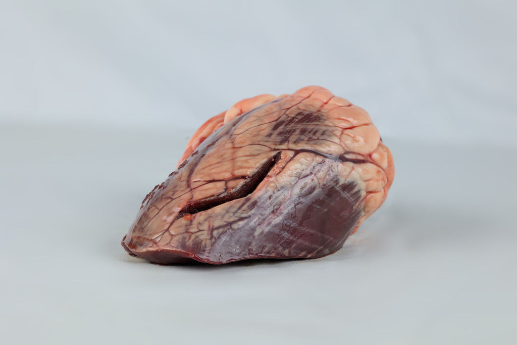 Beef Heart