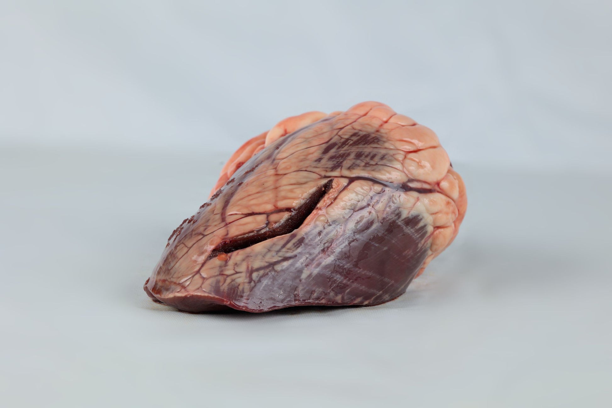 Beef Heart
