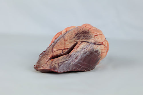 Beef Heart