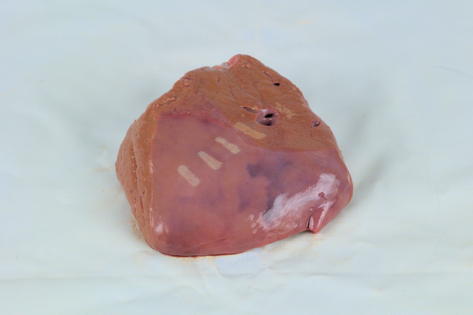 Beef Liver