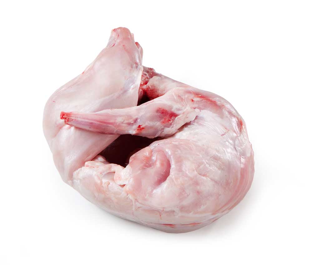 Whole Skinned Rabbit